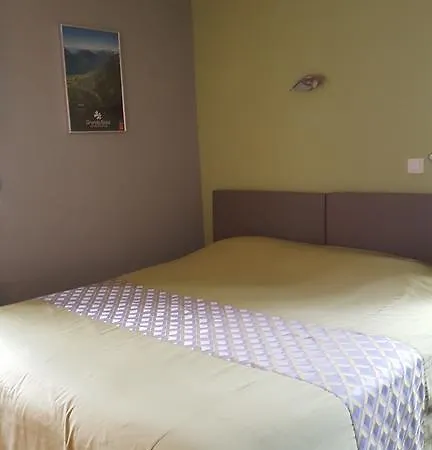 Hotel Le Gambetta Carmaux